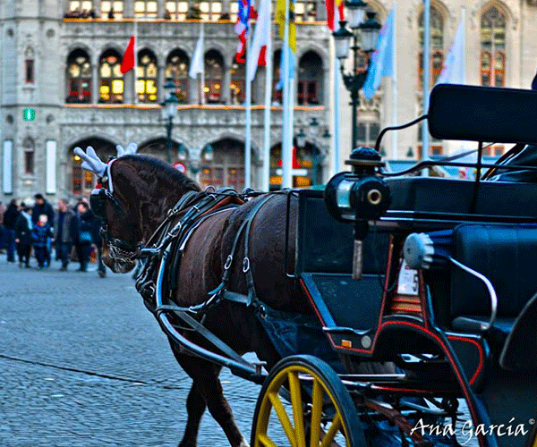 Winter in Brugge Vier oudejaar in Brugge