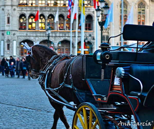 Vier oudejaar in Brugge